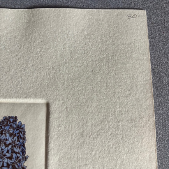 Hyacinth jar etching signed/numbered Jody Mehaffie - Picture 4 of 4